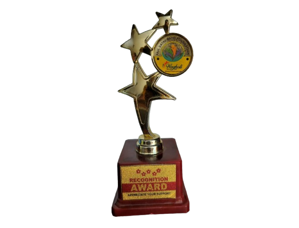 Anil Satav Patil Foundation – Recognition Award