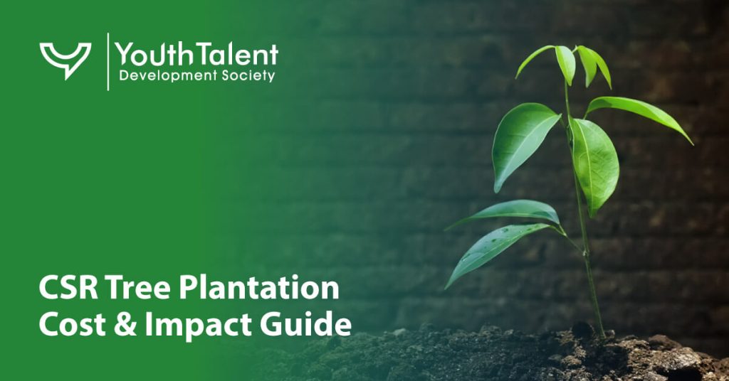 csr tree plantation cost