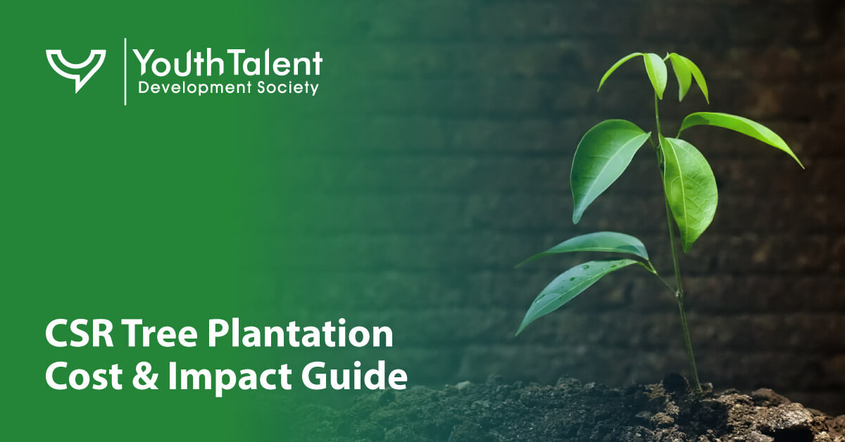 csr tree plantation cost