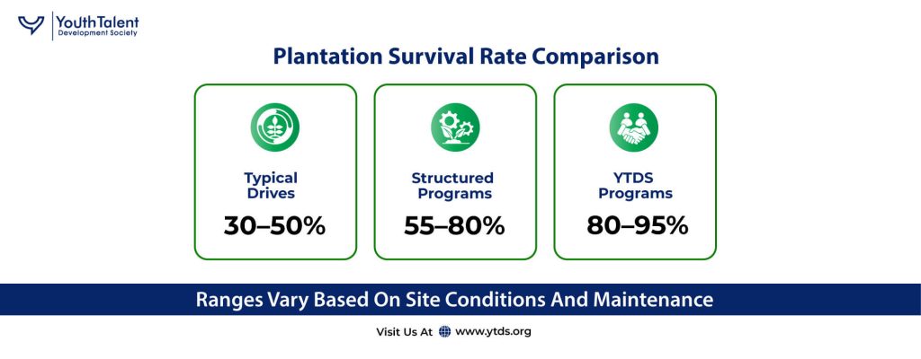 Plantation Survival Rate Comparison