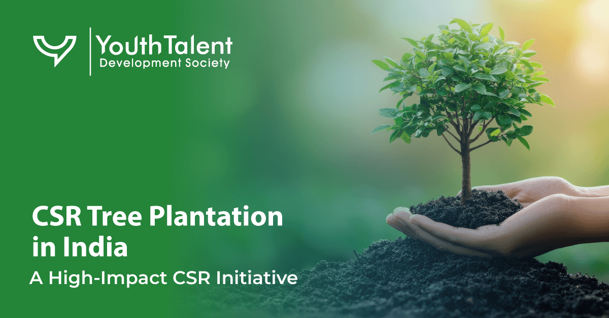 CSR-Tree-Plantation-Feature-Image