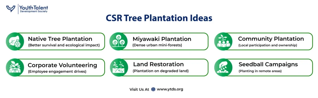 csr tree plantation ideas
