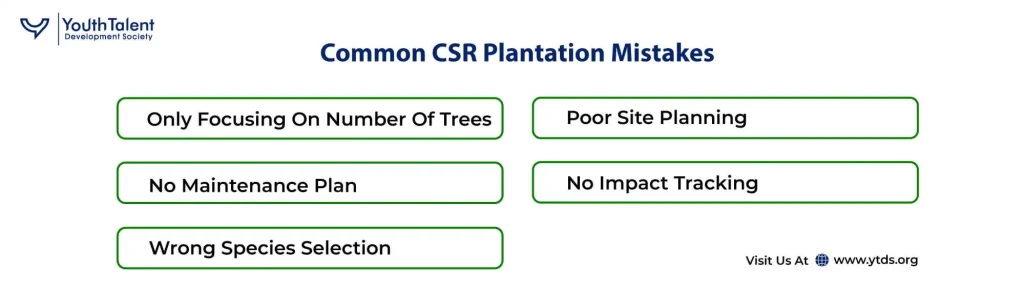 common csr plantation mistakes