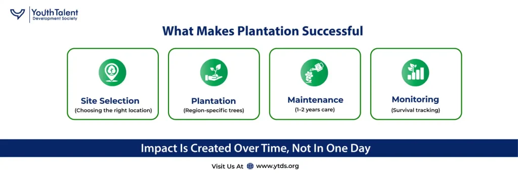 what makes csr plantation successful