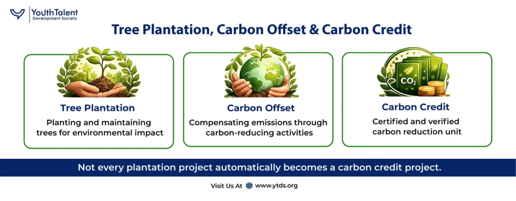 CSR Tree Plantation vs Carbon Credit Project