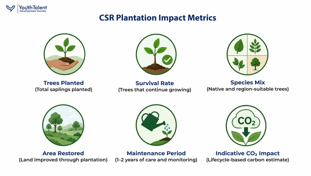 CSR Plantation Impact Metrics