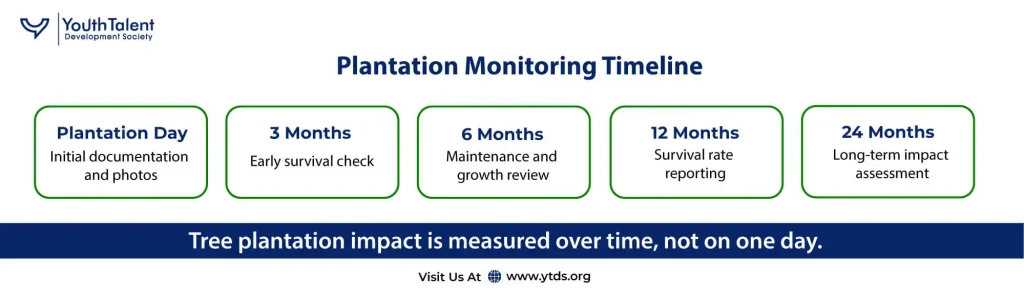 plantation monitoring timeline