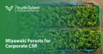Miyawaki forest CSR India