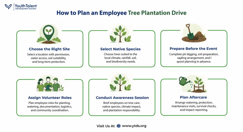 How YTDS Can Support Employee Tree Plantation Drives