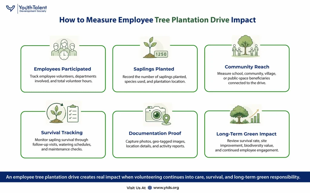How to Measure Employee Plantation Drive Impact