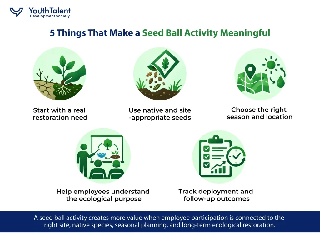 5 Things That Make a Seed Ball Activity Meaningful