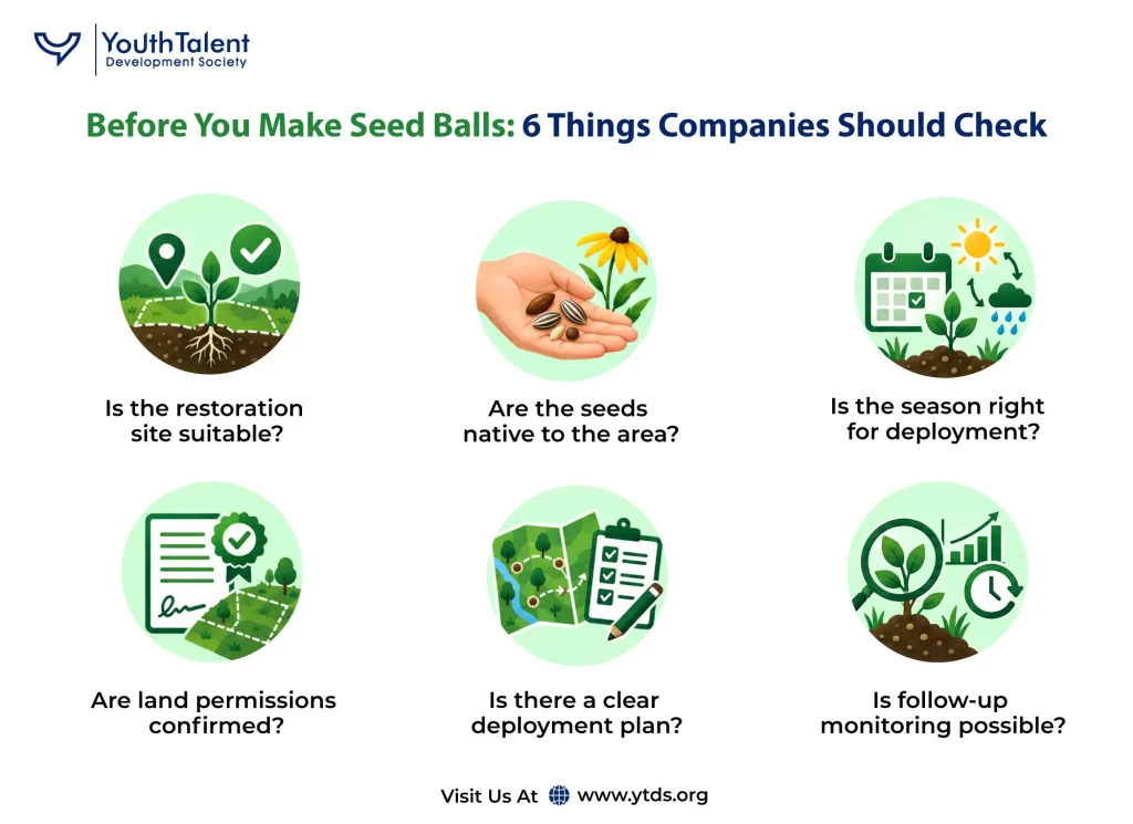 Before You Make Seed Balls 6 Things Companies Should Check